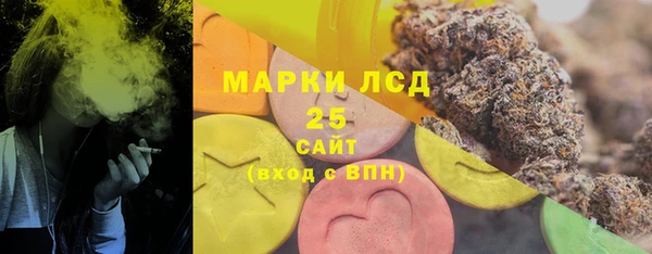 сатива Россошь