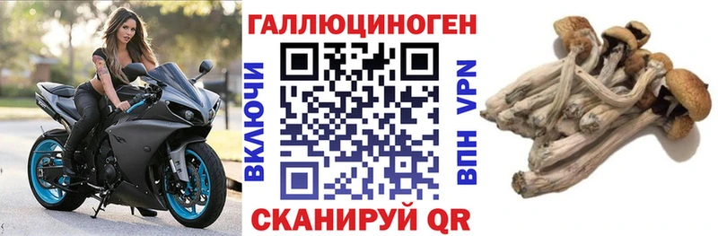 Галлюциногенные грибы Psilocybe Юрюзань